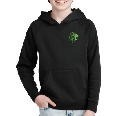 WCPA Lions - Youth Drive Fleece Pullover Hoodie Thumbnail